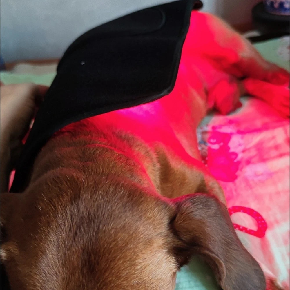 Veterinary Red Light Therapy Pad