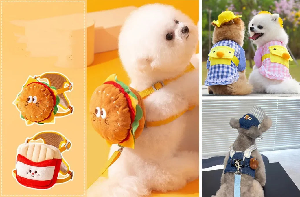 The Ultimate Guide to Choosing the Best Pet Products for Your Furry Friend