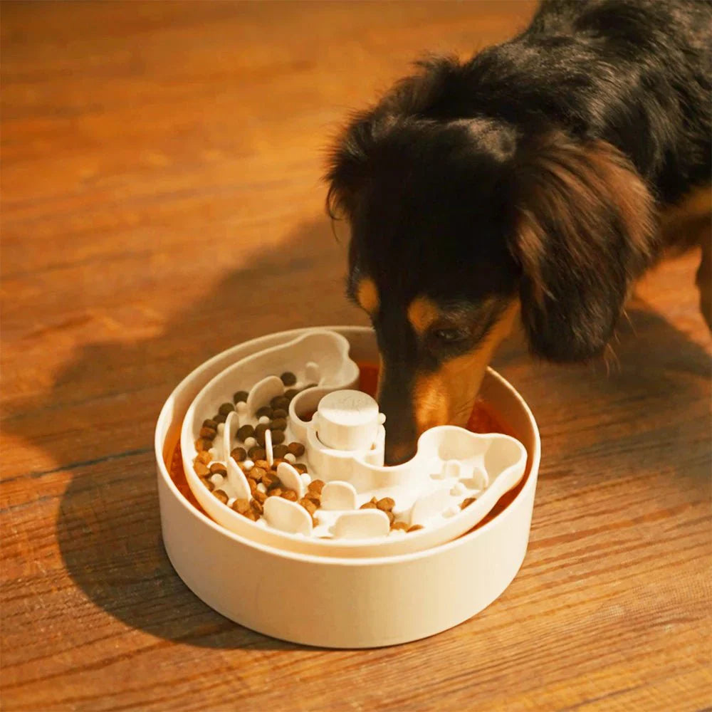 Pet Feeding Supplies