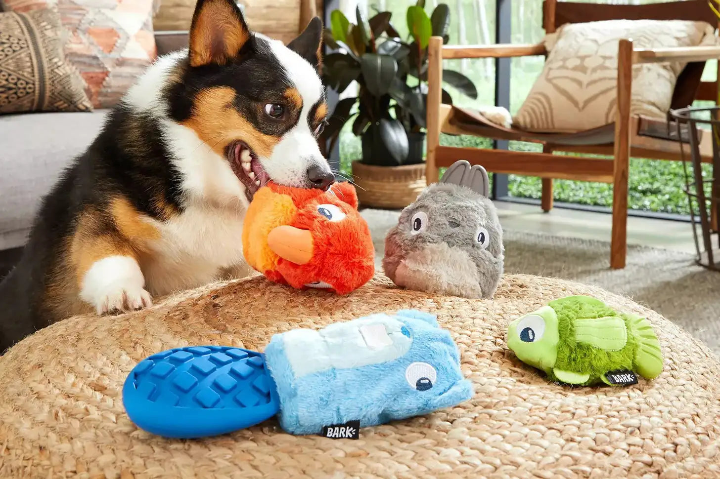 Pet Toys