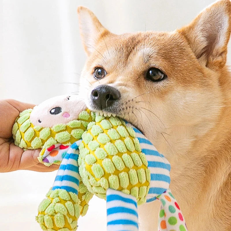 Pet Plush Toys Soft Chew and Cuddle Toys