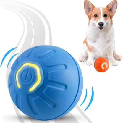 Pet toys Gravity Electric Amusement