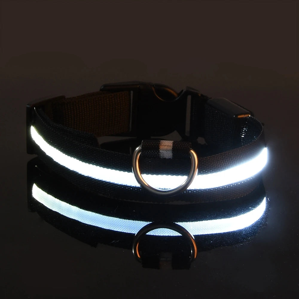 Nylon LED Night Safety Flashing Dog Leash