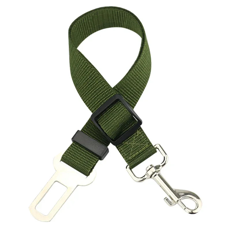 Adjustable Safety Lever Traction Dog Collars