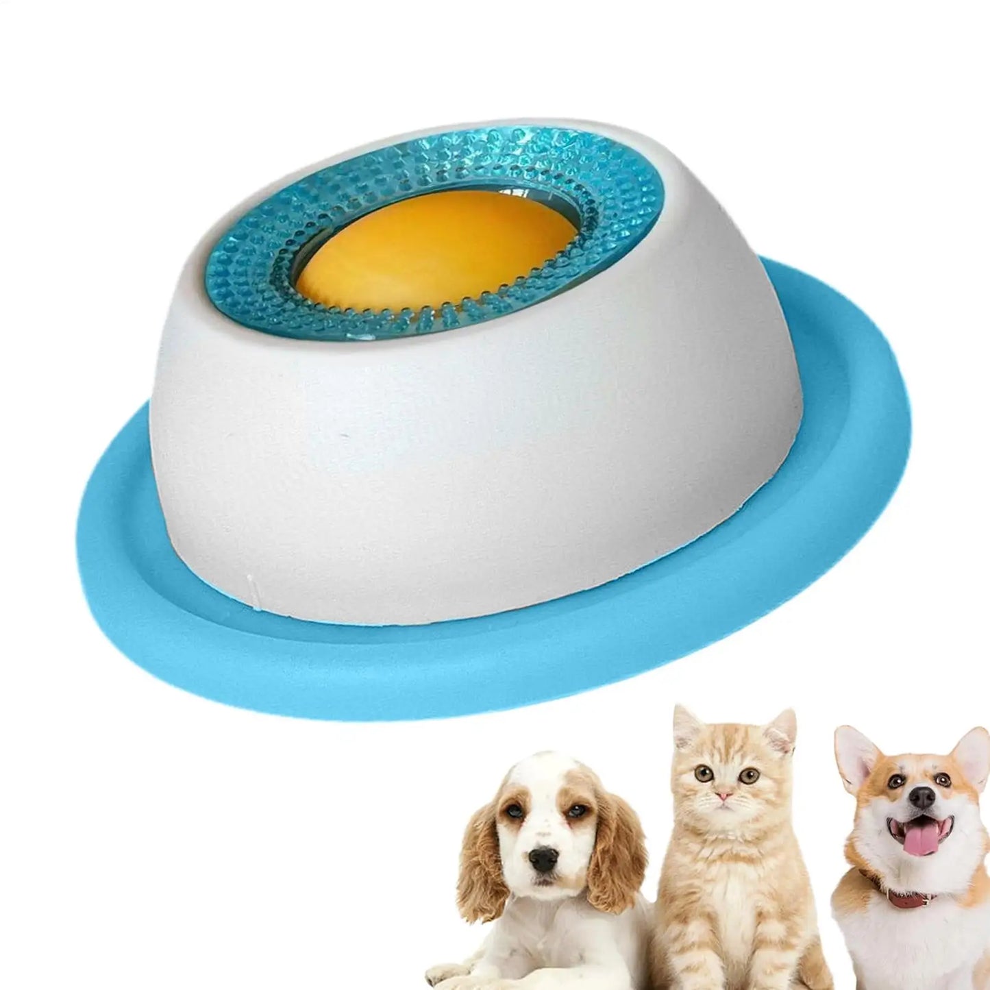 Pet Feeding Accessories