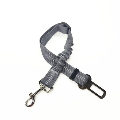 Adjustable Safety Lever Traction Dog Collars