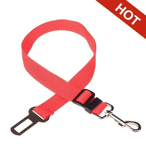 Adjustable Safety Lever Traction Dog Collars