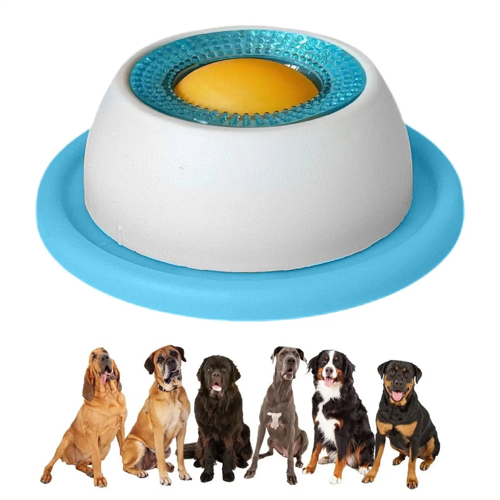 Pet Feeding Accessories