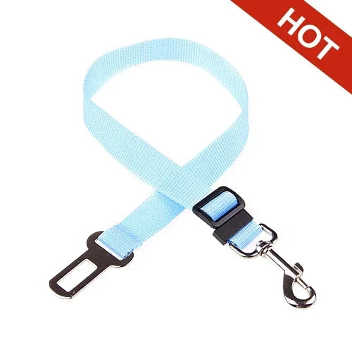 Adjustable Safety Lever Traction Dog Collars