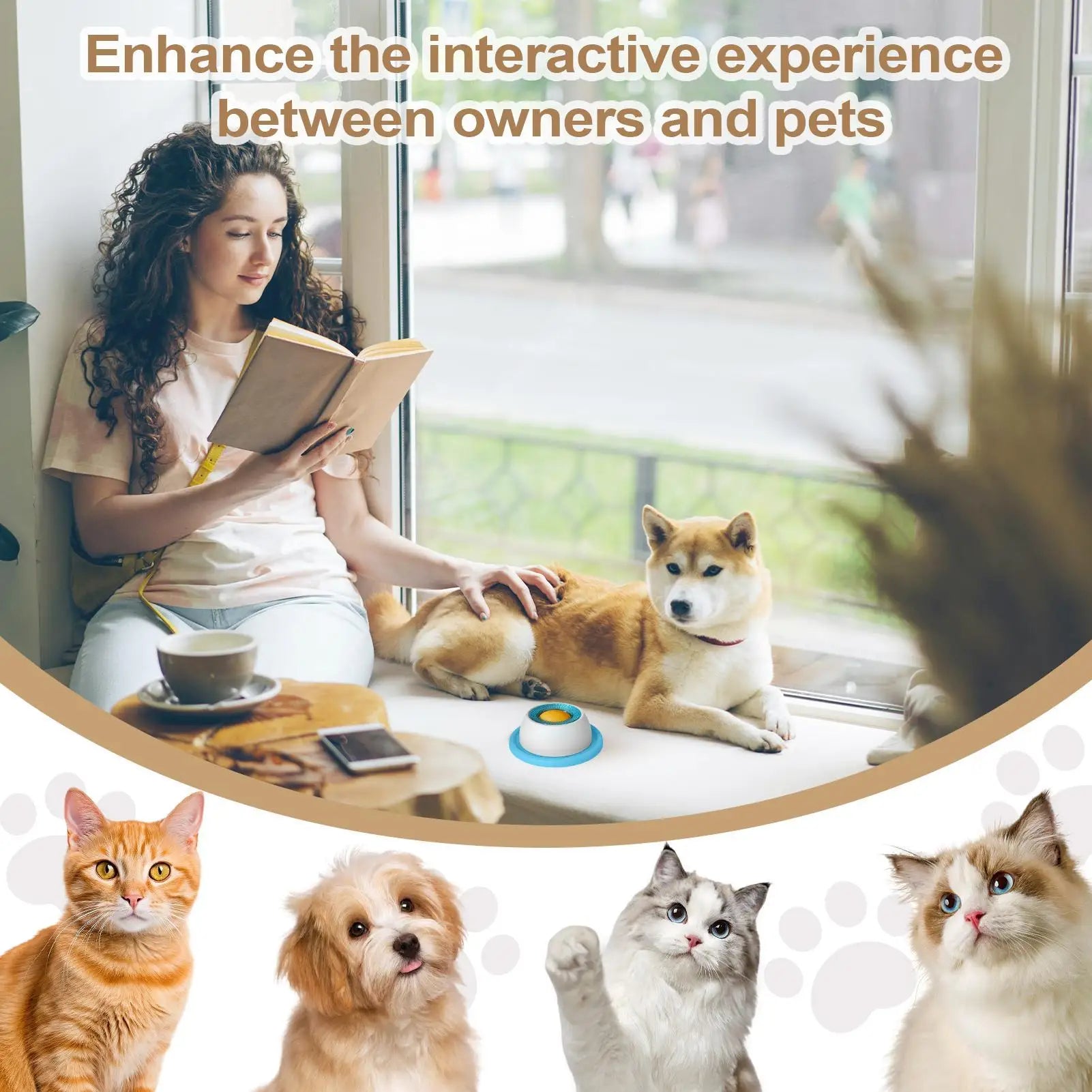 Pet Feeding Accessories