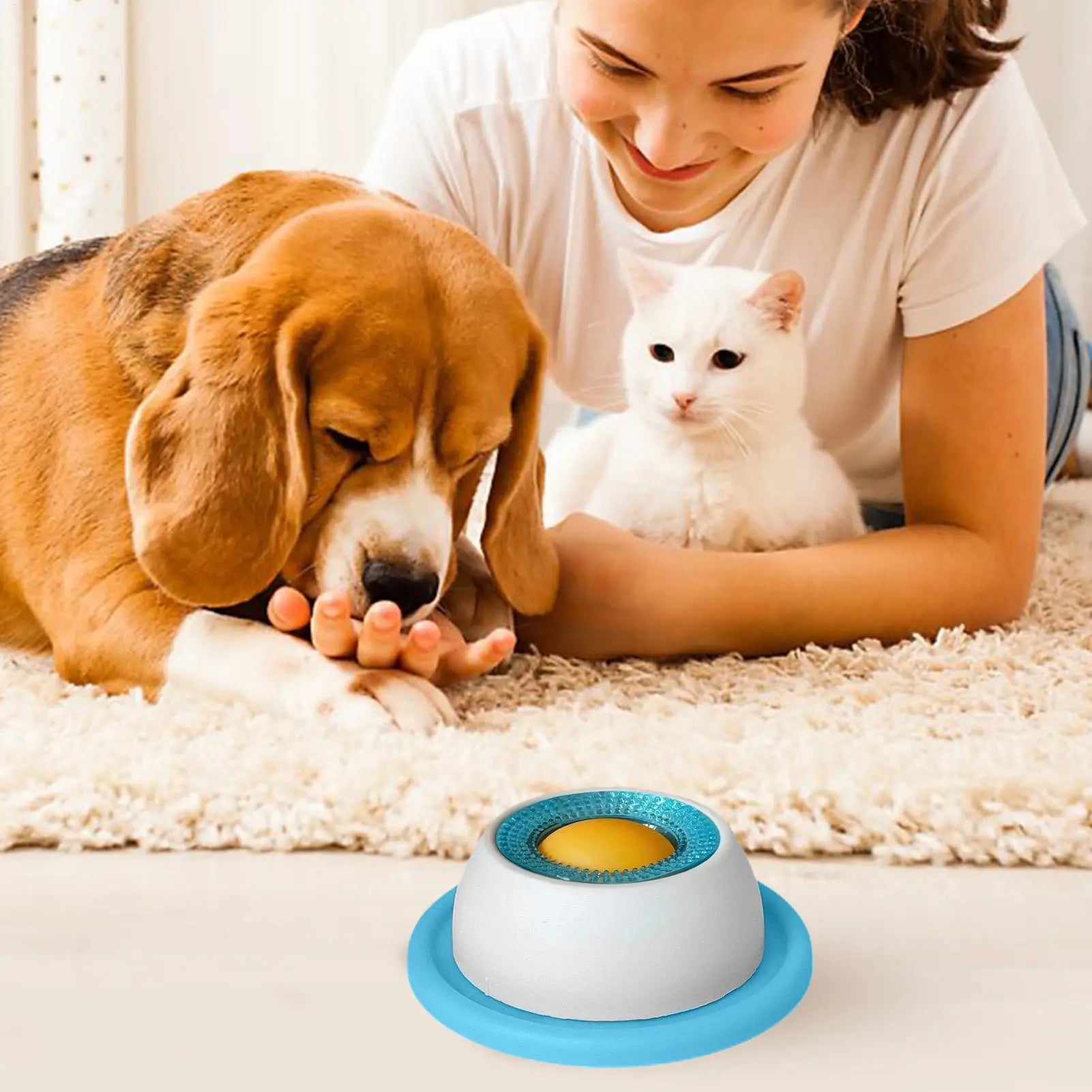 Pet Feeding Accessories