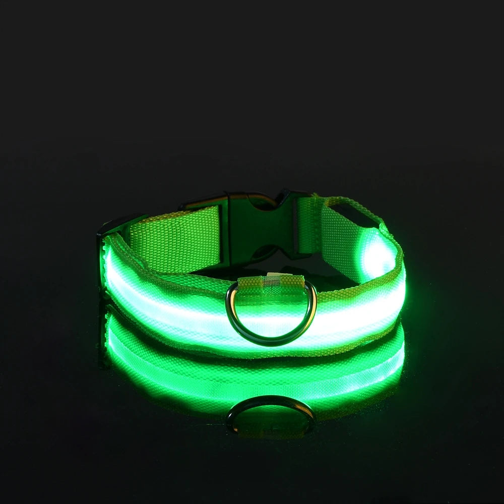 Nylon LED Night Safety Flashing Dog Leash