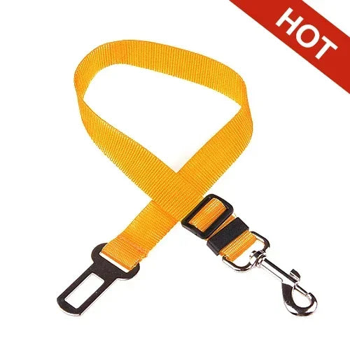 Adjustable Safety Lever Traction Dog Collars