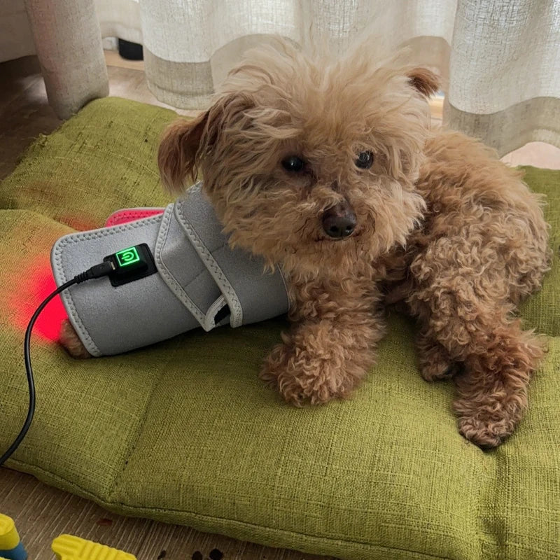 Veterinary Red Light Therapy Pad
