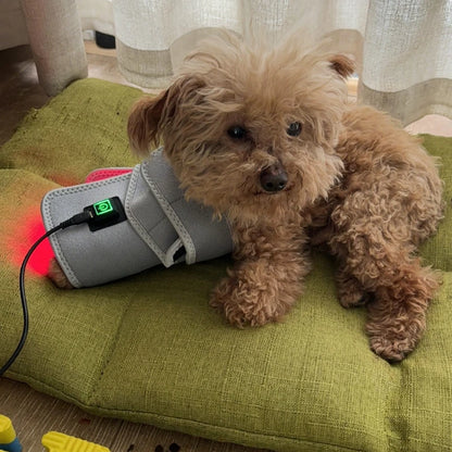 Veterinary Red Light Therapy Pad
