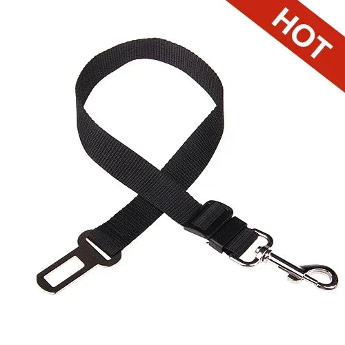 Adjustable Safety Lever Traction Dog Collars