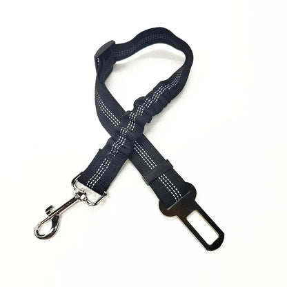 Adjustable Safety Lever Traction Dog Collars