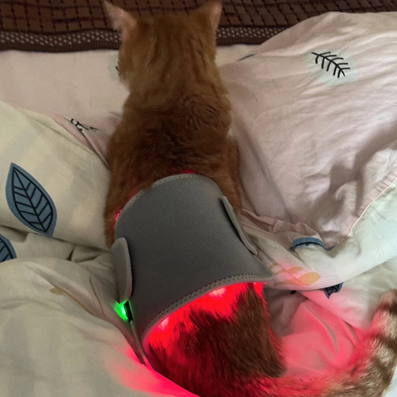 Veterinary Red Light Therapy Pad