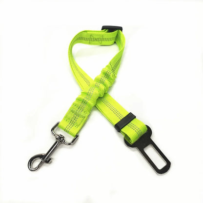 Adjustable Safety Lever Traction Dog Collars