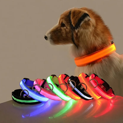 Nylon LED Night Safety Flashing Dog Leash