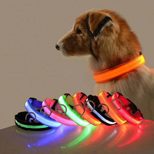 Nylon LED Night Safety Flashing Dog Leash