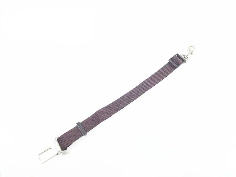 Adjustable Safety Lever Traction Dog Collars