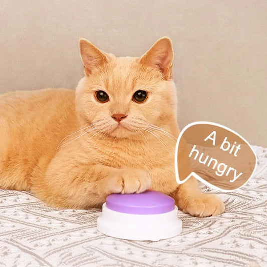 Pet Toy