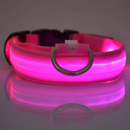 Nylon LED Night Safety Flashing Dog Leash