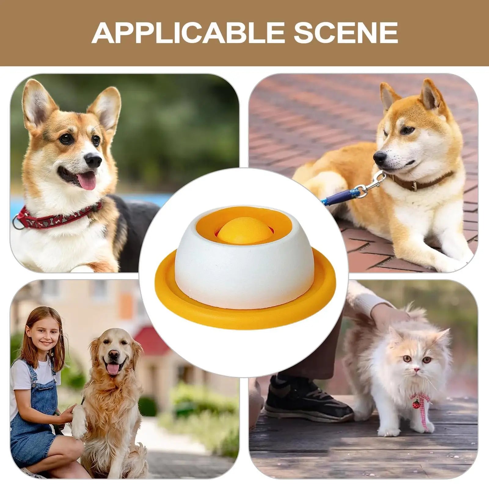 Pet Feeding Accessories