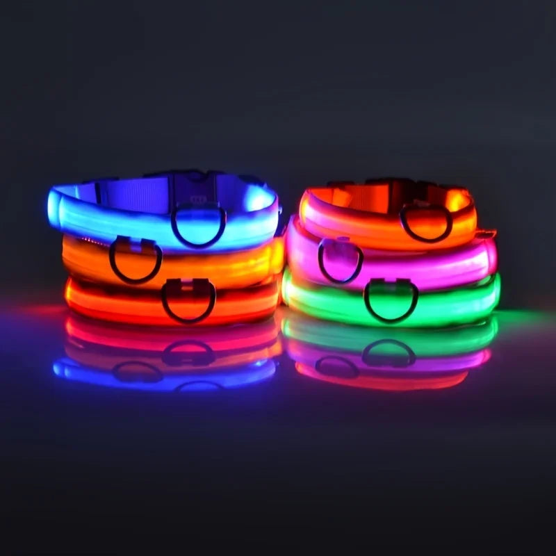Nylon LED Night Safety Flashing Dog Leash