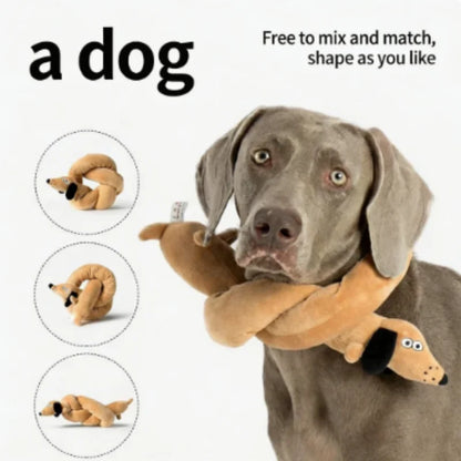 Snail Shaped Pet Toys