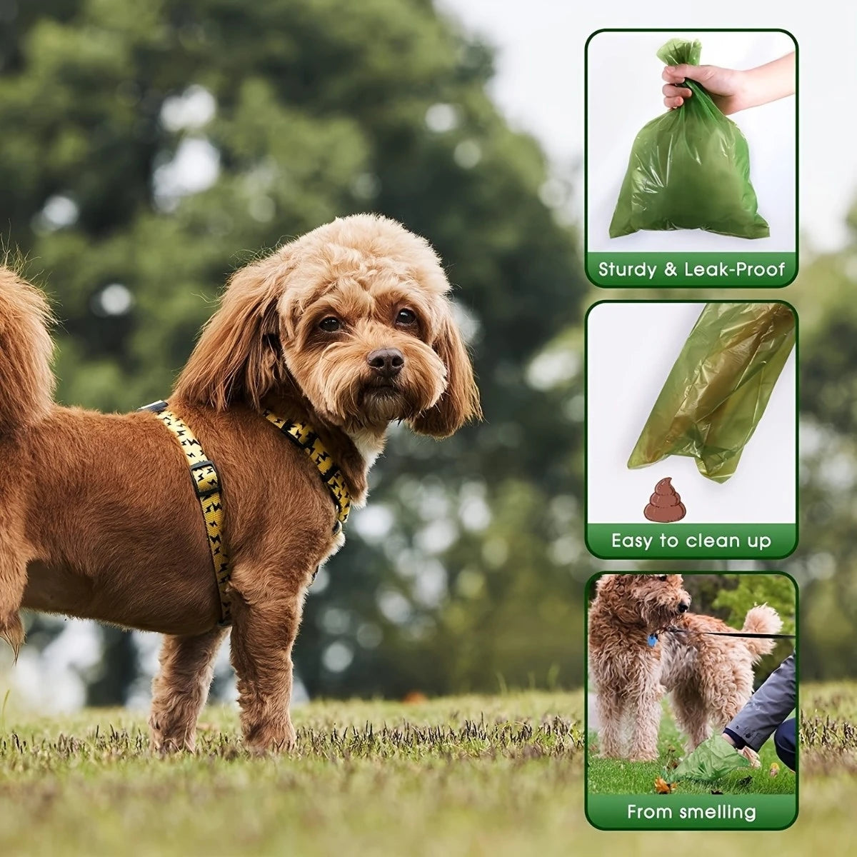 Degradable Dog Poop Bags