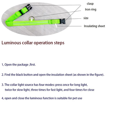 Nylon LED Night Safety Flashing Dog Leash