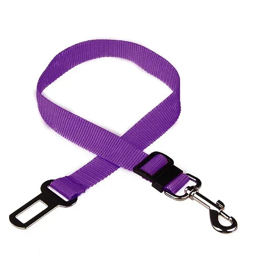 Adjustable Safety Lever Traction Dog Collars