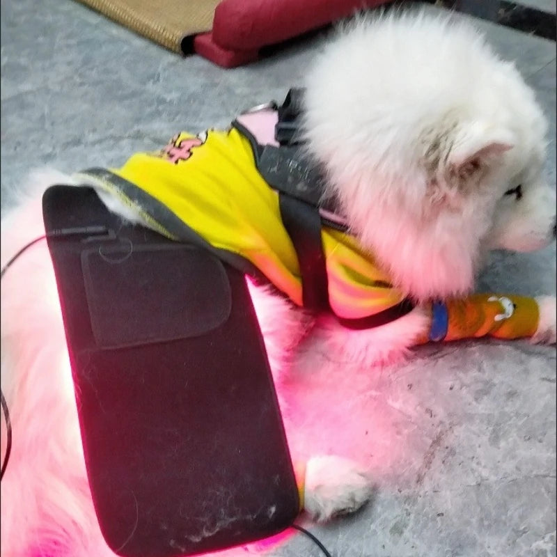 Veterinary Red Light Therapy Pad