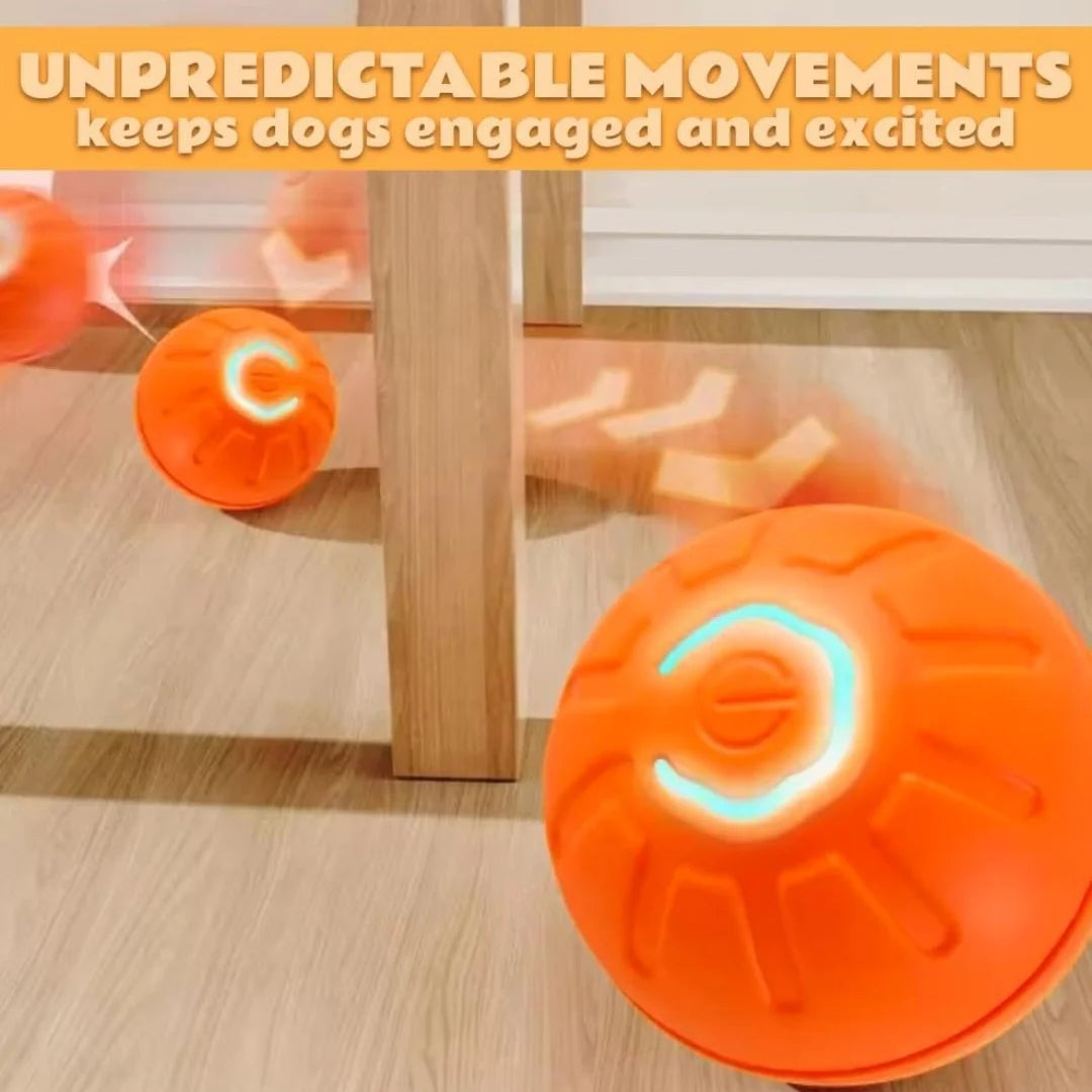 Pet toys Gravity Electric Amusement
