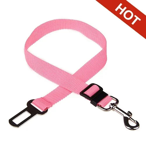 Adjustable Safety Lever Traction Dog Collars