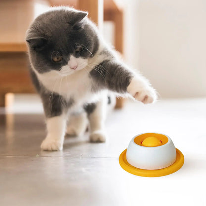 Pet Feeding Accessories