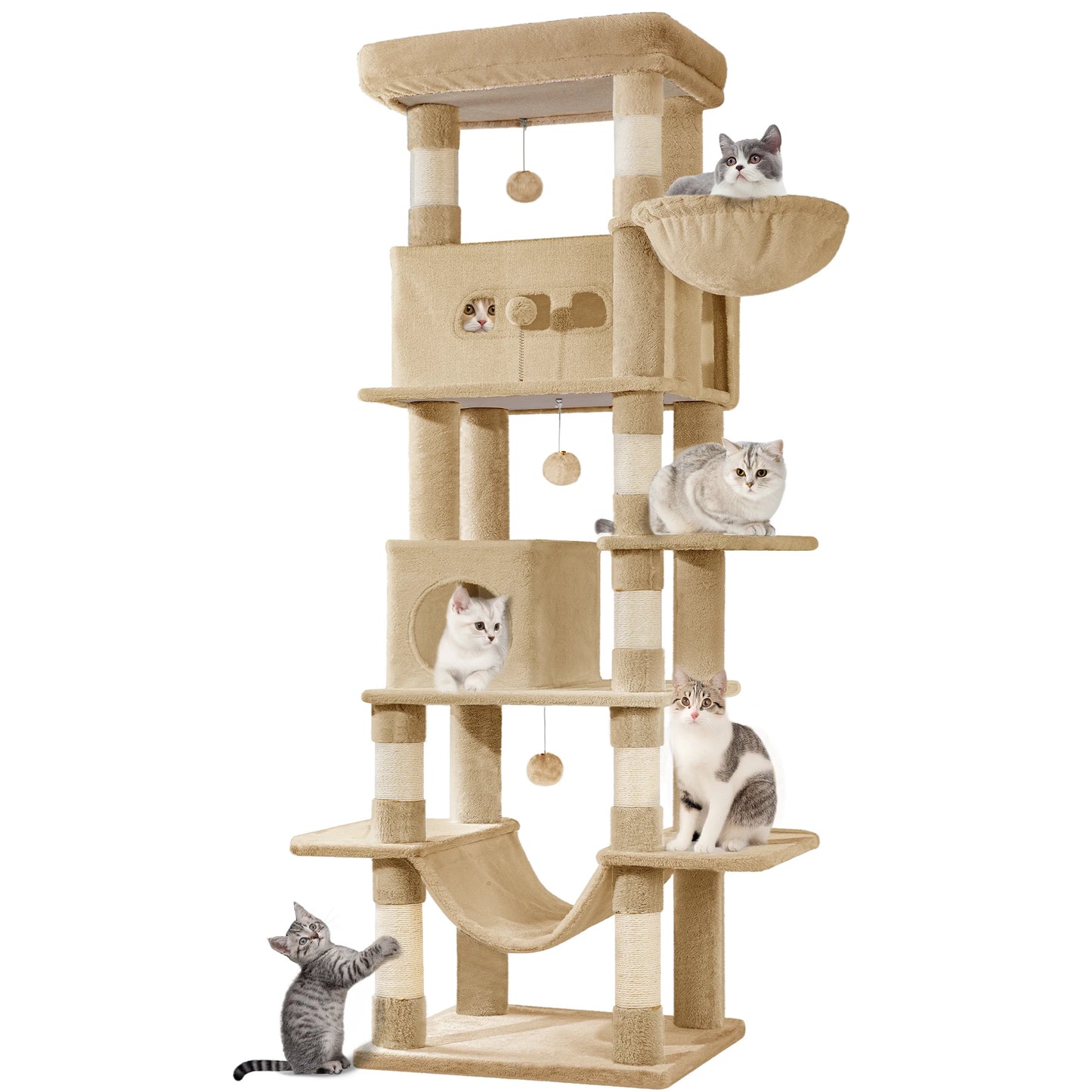 Multi-Level Cats House with Condo