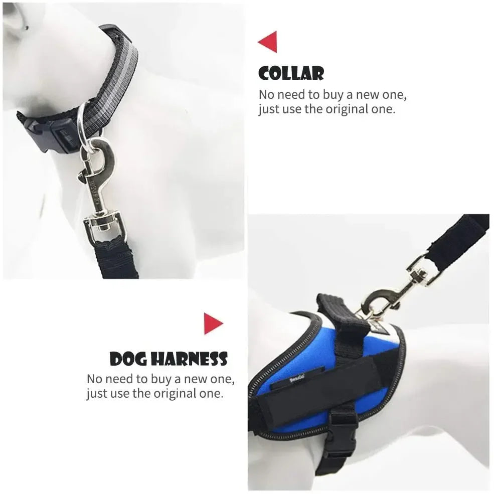 Adjustable Safety Lever Traction Dog Collars