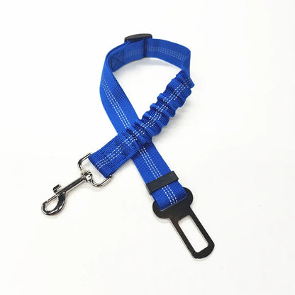 Adjustable Safety Lever Traction Dog Collars