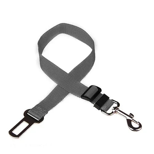 Adjustable Safety Lever Traction Dog Collars