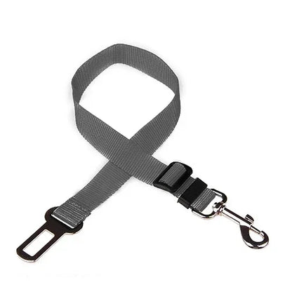 Adjustable Safety Lever Traction Dog Collars