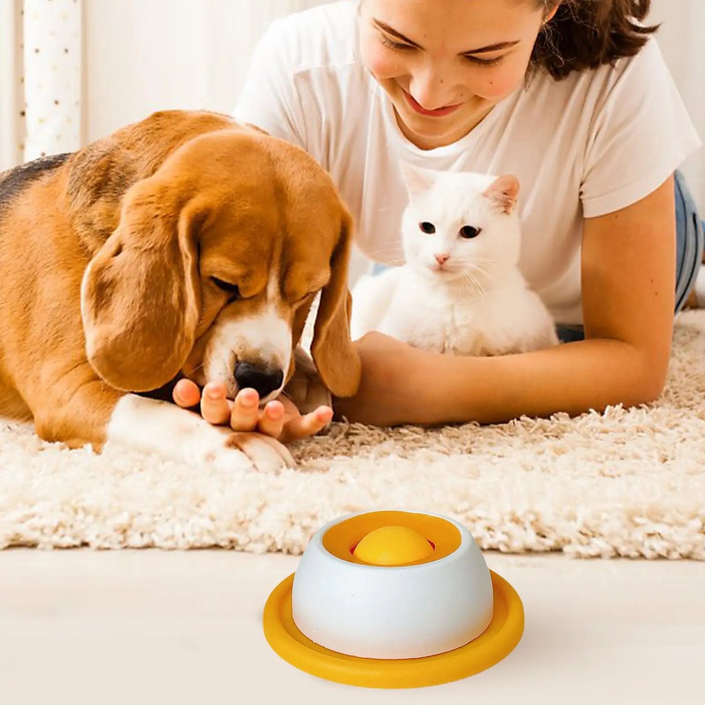 Pet Feeding Accessories