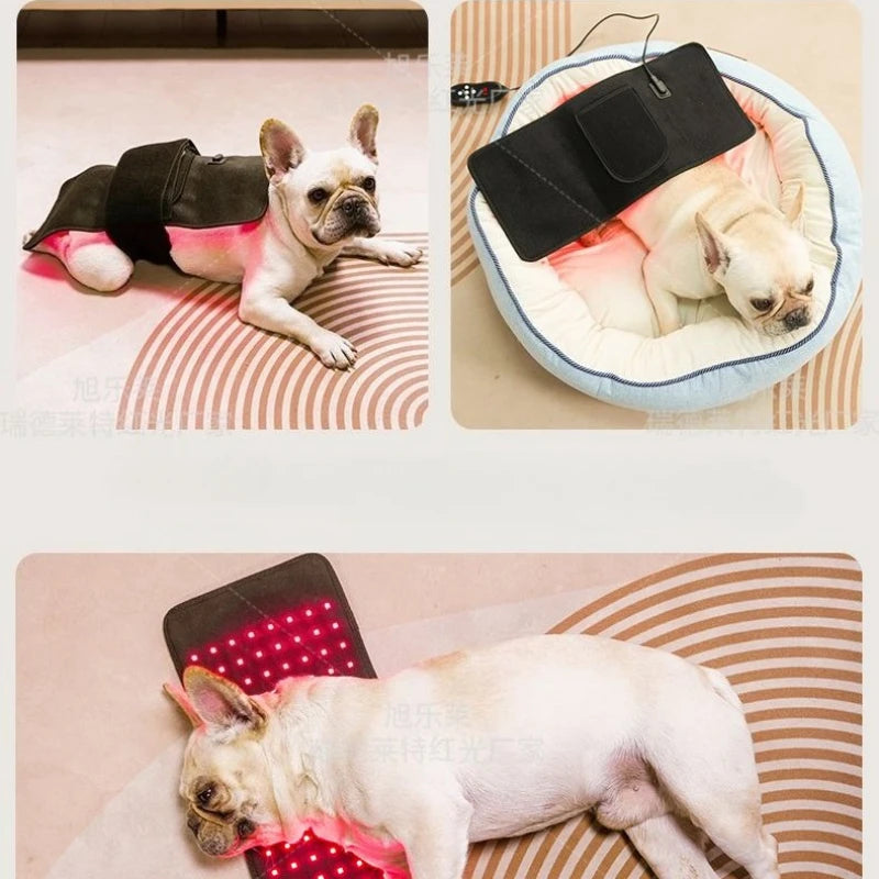 Veterinary Red Light Therapy Pad
