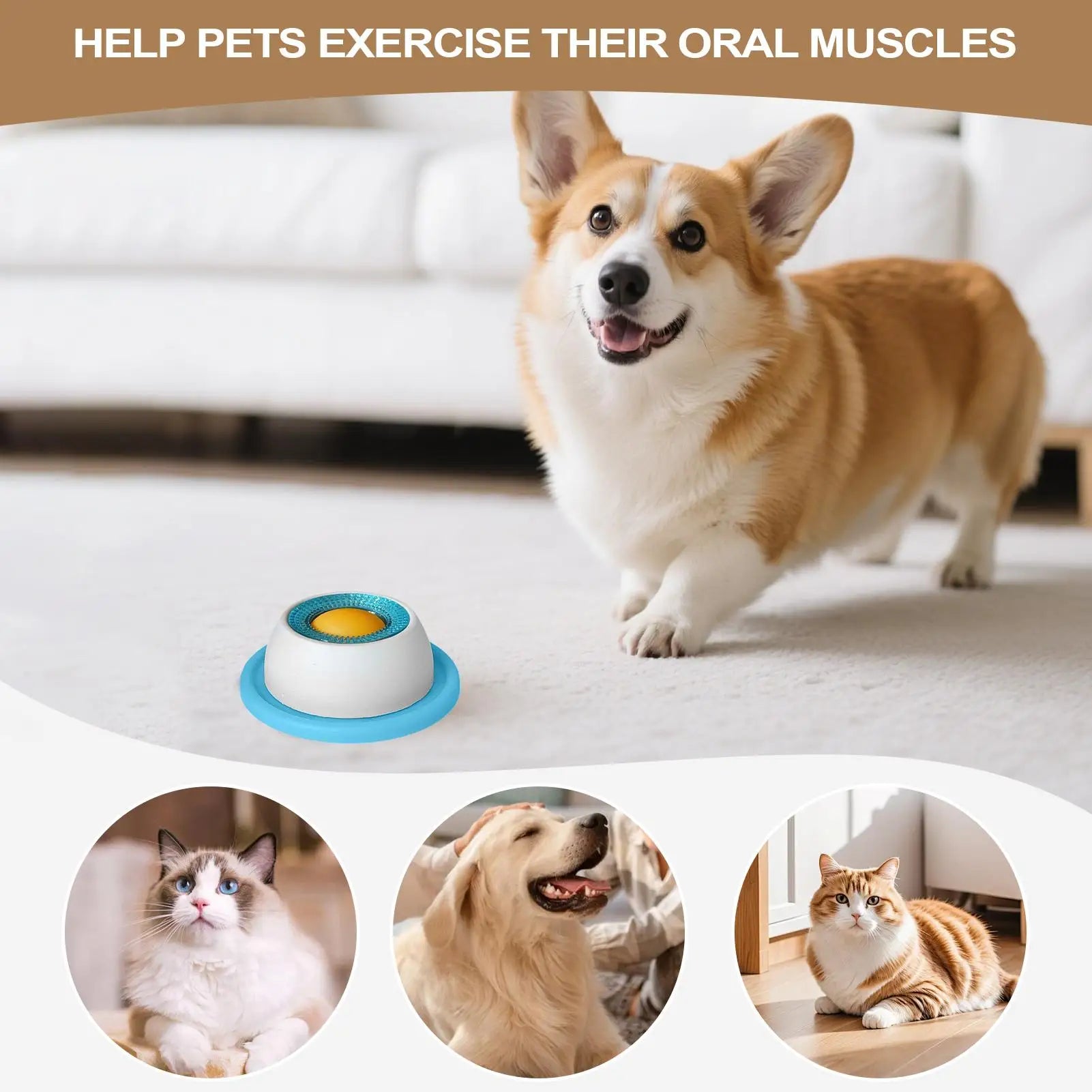 Pet Feeding Accessories