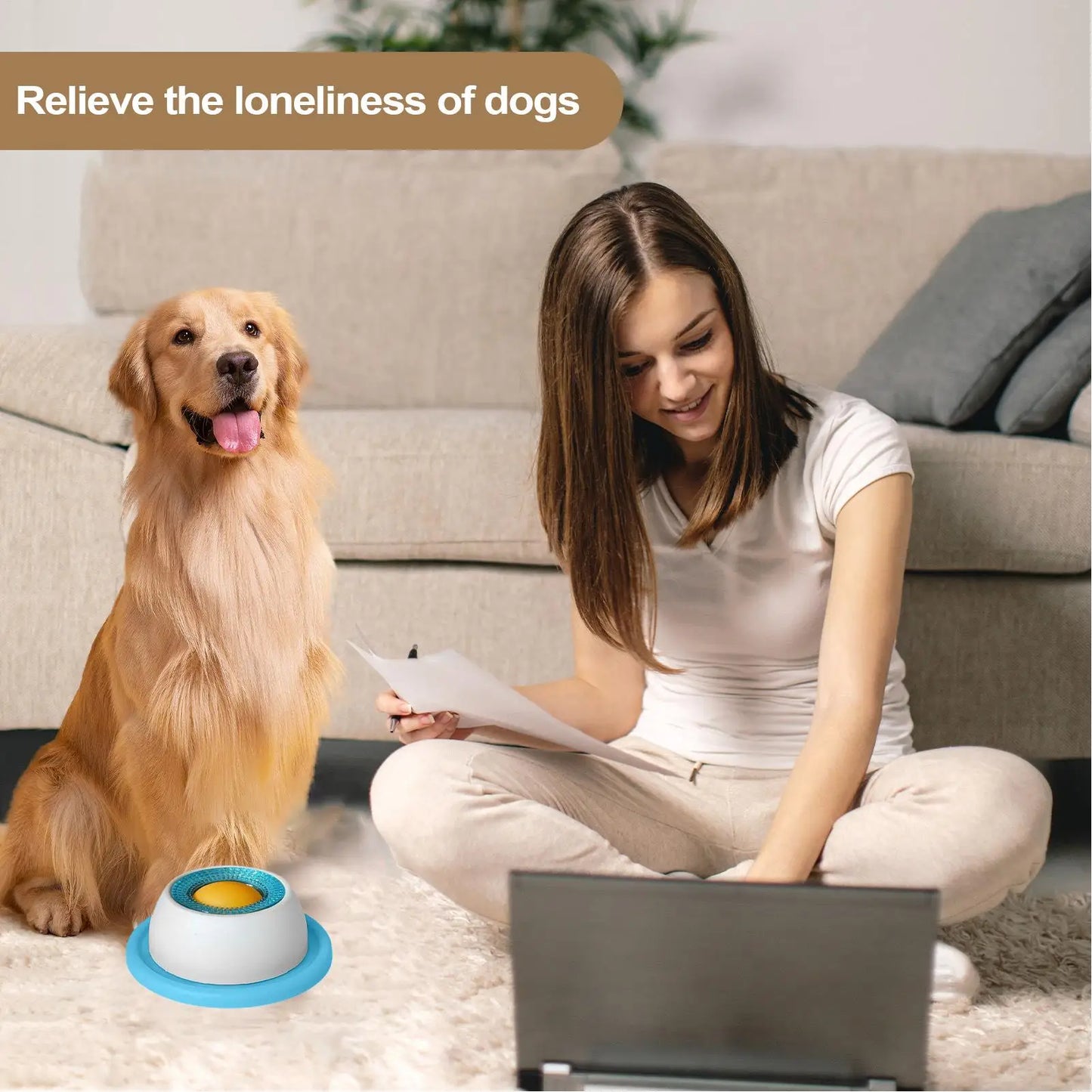 Pet Feeding Accessories