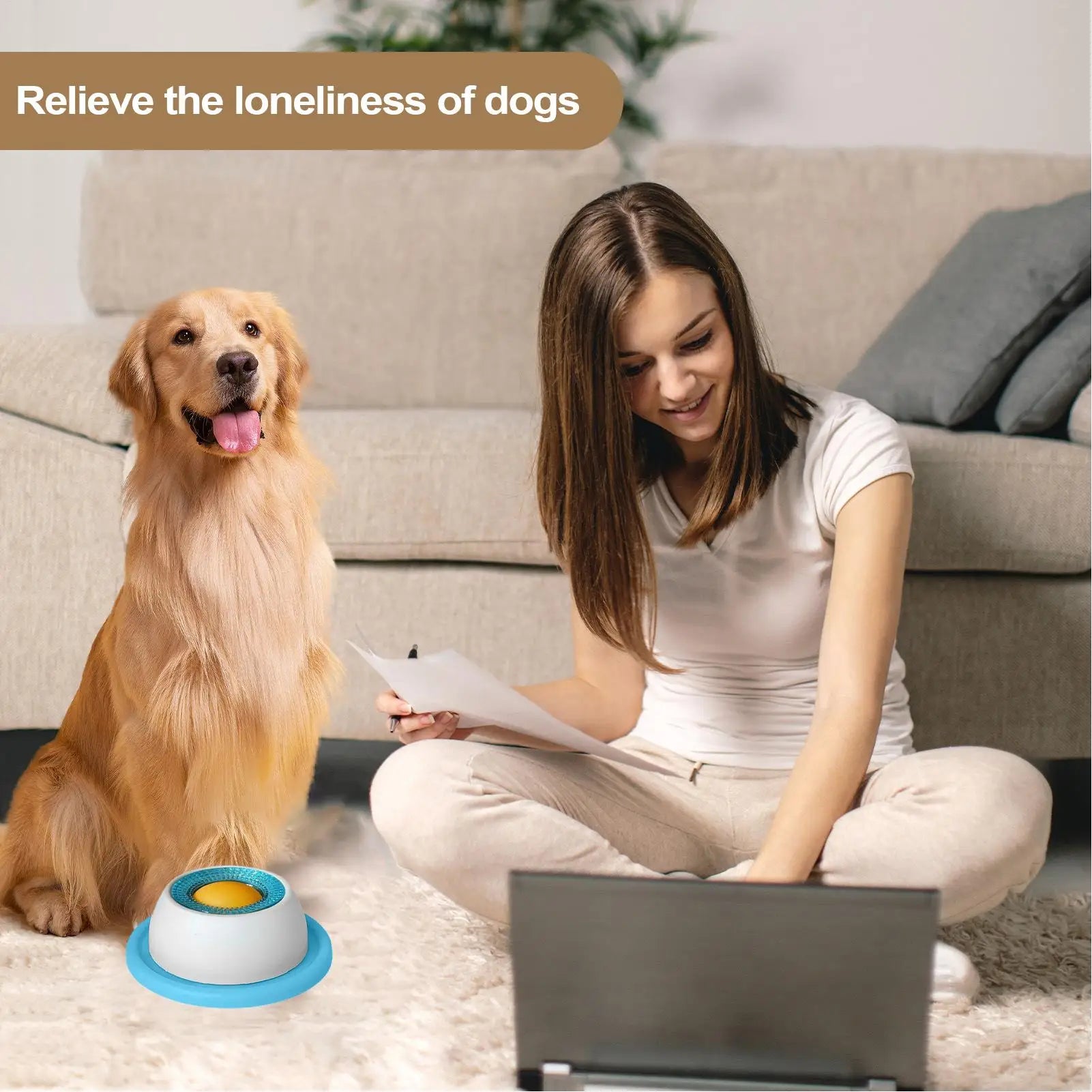 Pet Feeding Accessories