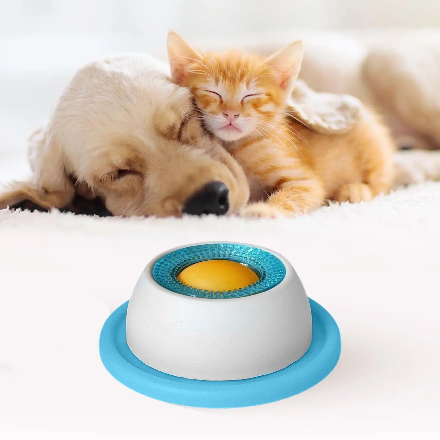 Pet Feeding Accessories