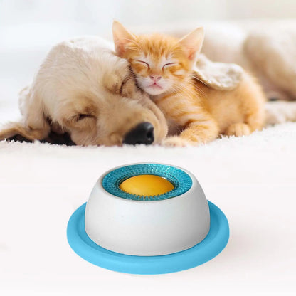 Pet Feeding Accessories